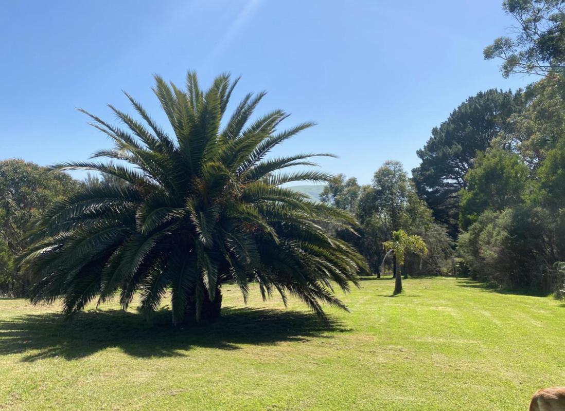Great Ocean Road Wellness And Nature Stay Apollo Bay Exterior photo